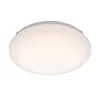 Charlie 28cm LED Flush Bathroom Ceiling Light
