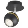 Austin Single Lamp Spotlight - Black & Gold