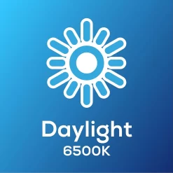 TCP Led Candle 40w Ses Daylight Dimmable Bulb 5pk 10 TCP Led Candle 40w Ses Daylight Dimmable Bulb 5pk -Lighting Promotion Store 12891724 5254974963997782