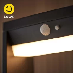 Dannah 50cm Photocell & PIR Solar Outdoor Floor Light - Black -Lighting Promotion Store 13794248 1904957105863318