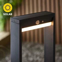 Dannah 50cm Photocell & PIR Solar Outdoor Floor Light - Black -Lighting Promotion Store 13794248 8764957105754463