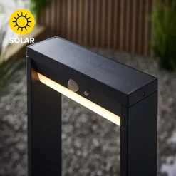 Dannah 80cm Photocell & PIR Solar Outdoor Floor Light - Black -Lighting Promotion Store 13794250 1354957104731370