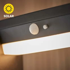 Dannah 80cm Photocell & PIR Solar Outdoor Floor Light - Black -Lighting Promotion Store 13794250 3864957104825315