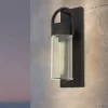 Eglo Carraro Outdoor Wall Light