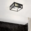Eglo Amezola 2 Lamp Bathroom Ceiling/Wall Light